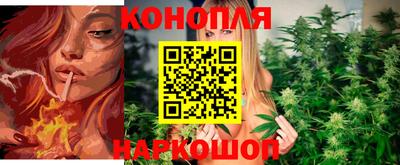 первитин Камышлов