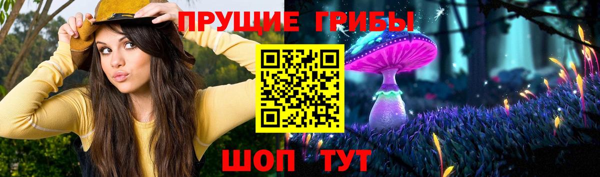 Кострома  Галлюциногенные грибы Psilocybe  Вход с VPN 